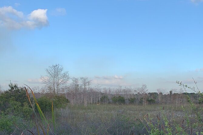 Dark Sky's in the Florida Everglades - The Details of the Tour