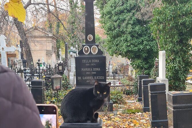 Darkside Tour of Bucharest - small group - Value for Money