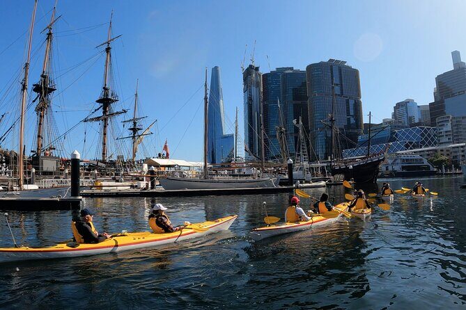 Darling Harbour Explorer - Sea Kayaking Tour - What to Expect on the Day