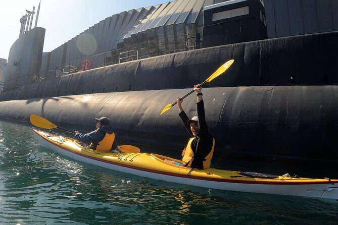 Darling Harbour Explorer - Sea Kayaking Tour - Who Should Consider This Tour?