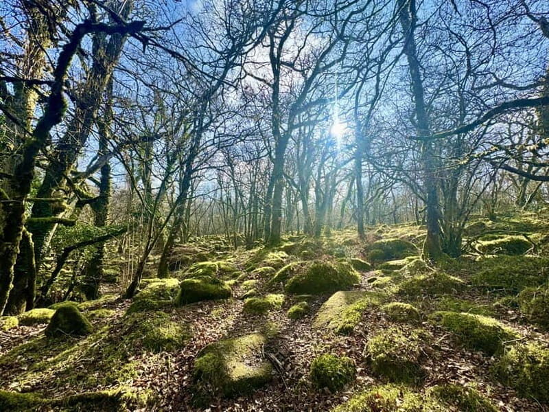 Dartmoor: Guided Hiking Tours FULL Day - Why the Guided Tour Offers Good Value
