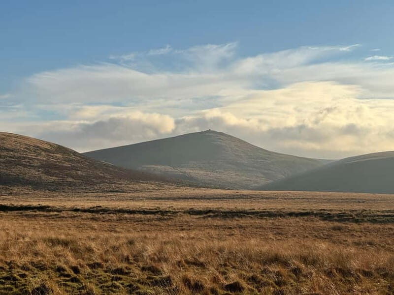 Dartmoor National Park: Half Day Guided Hiking Tour - Duration and Flexibility