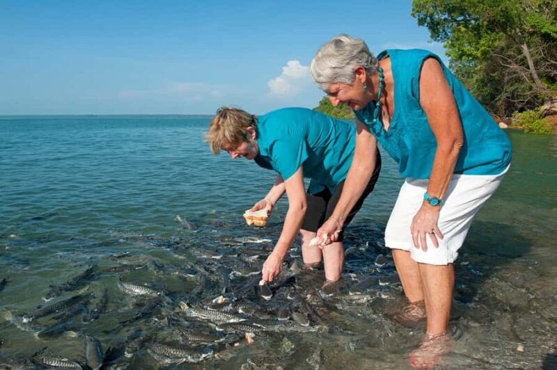 Darwin: Aquascene Fish Feeding Experience - Who Will Love This?