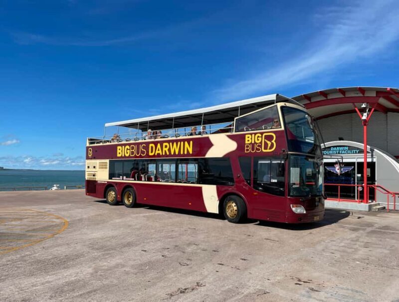 Darwin: Big Bus Open-Top Hop-on Hop-off Tour - An In-Depth Look at the Experience