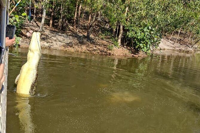 Darwin City Tour + Crocodile Cruise+Lunch Optional - Key Points