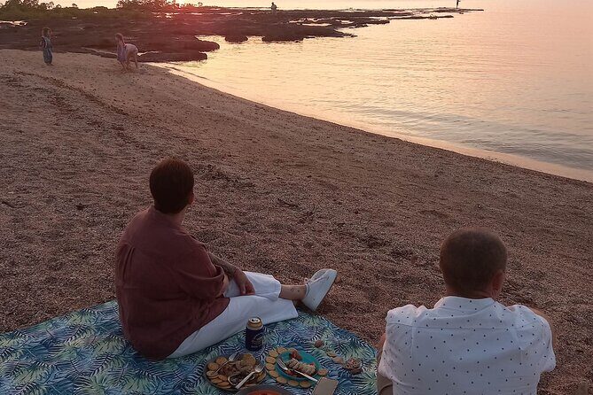 Darwin City Tour + Crocodile Cruise+Lunch Optional - Practical Tips and Considerations