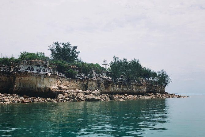 Darwin Combo: The Bombing of Darwin Experience & Darwin Harbour Cruise - Who Is This Tour Perfect For?