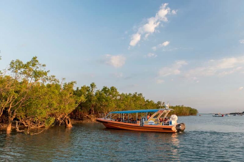 Darwin Harbour Cruise - What We Love (And What You Should Consider)