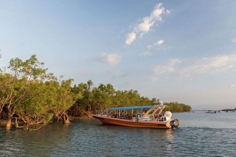 Darwin Harbour Cruise - FAQs About the Darwin Harbour Cruise