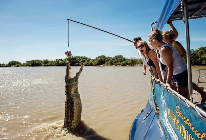 Darwin: Jumping Crocodile River Cruise with Shuttle Bus - Who Will Love This Tour?