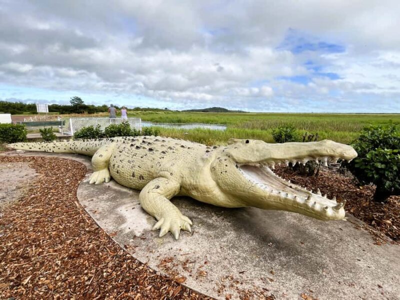 Darwin: Jumping Crocodile River Cruise with Shuttle Bus - Who Should Book This Tour?
