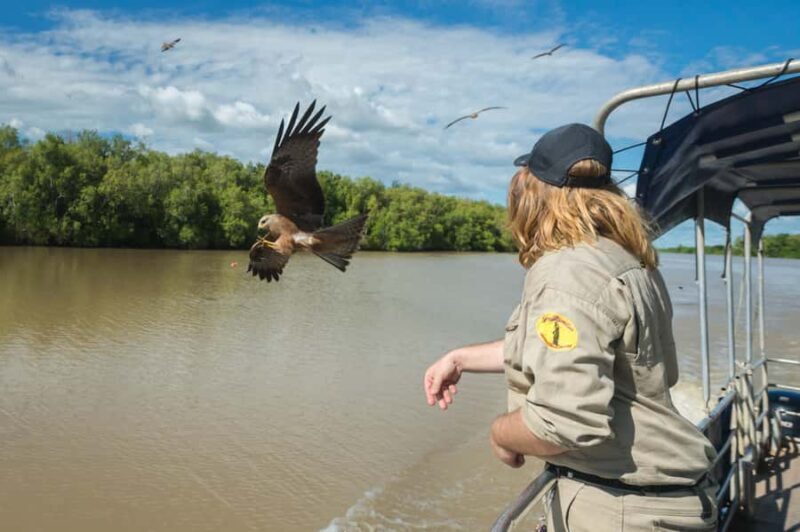 Darwin: Jumping Crocodile River Cruise with Shuttle Bus - FAQs