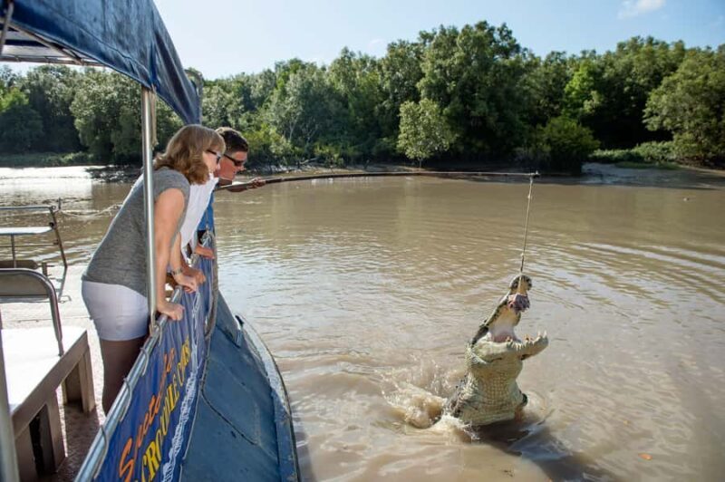 Darwin: Jumping Crocodile River Cruise with Shuttle Bus - Final Thoughts