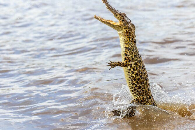 Darwin: Jumping Crocodiles & Barramundi Fishing tour - Who Is This Tour Best For?