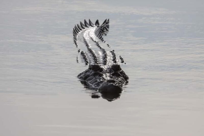 Darwin: Kakadu National Park Day Trip - FAQ