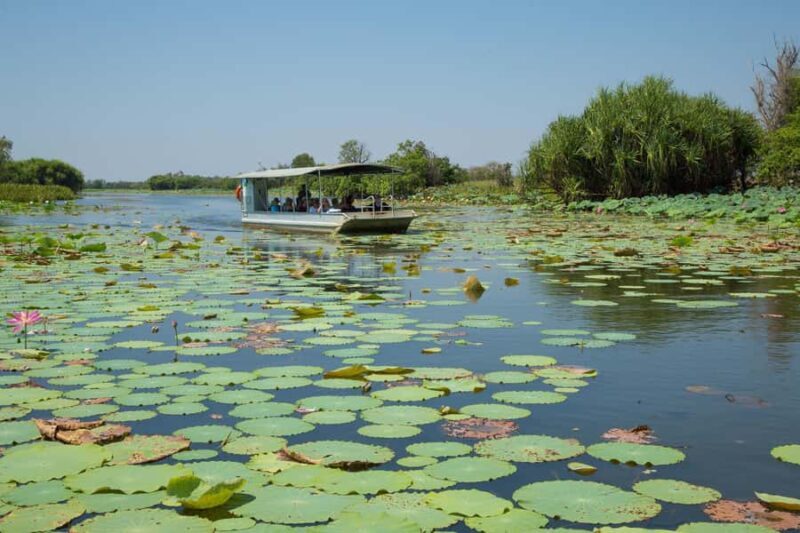 Darwin: Mary River Wetlands Wildlife Cruise with Lunch - A Deep Dive into the Wetlands Tour