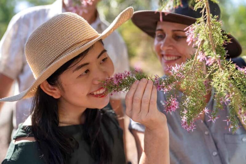 Darwin: Premium Litchfield Regional Small Group Day Tour - Real Guests’ Experiences: Authentic Perspectives