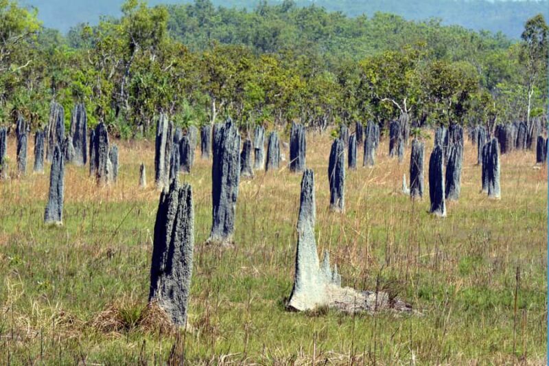 Darwin: PRIVATE Litchfield Park Sub-Tropical Escape - The Practicalities: What to Expect and Consider