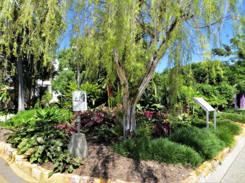 Darwin: Small Group 2-Hour Heritage Walk - Key Points