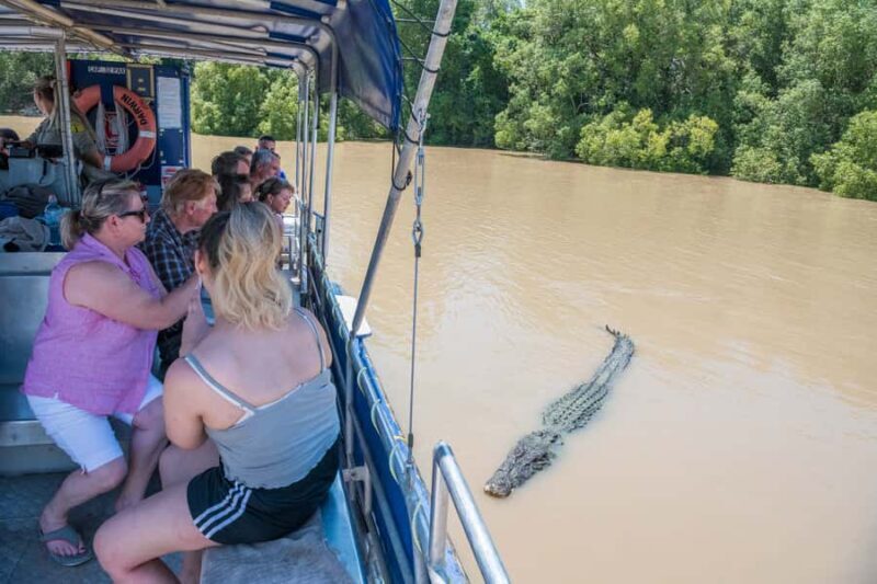 Darwin: Spectacular Jumping Crocodile Adelaide River Cruise - How the Tour is Structured