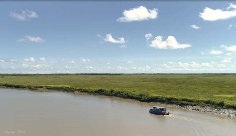 Darwin: Spectacular Jumping Crocodile Adelaide River Cruise - The Downsides