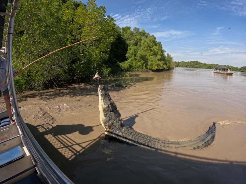 Darwin: The Croc Bus to the Famous Jumping Crocodile Cruise - The Guides and Their Impact