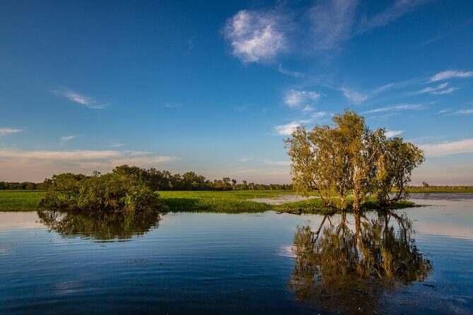 Darwin to Kakadu Day Trip by Air Including Yellow Water Cruise - An In-Depth Look at the Experience