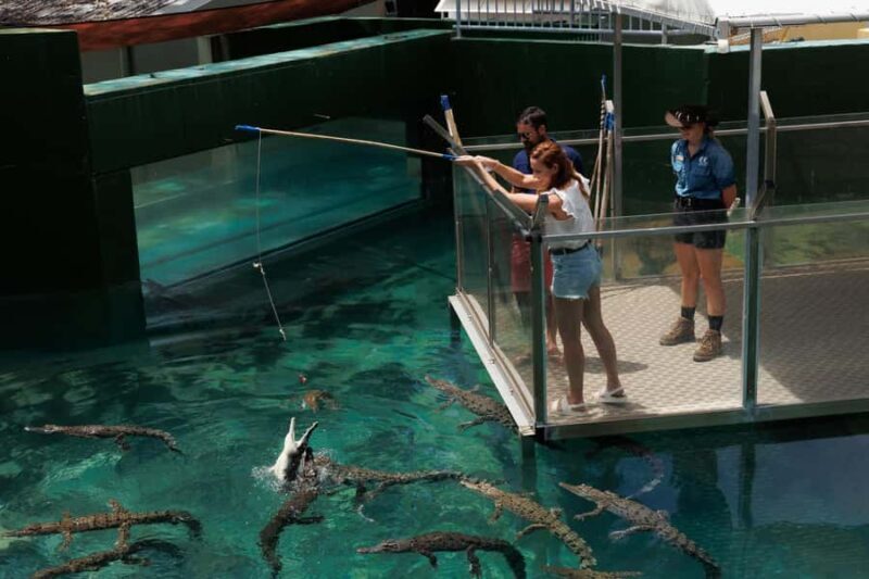 Darwin: VIP Crocosaurus Cove Experience - Group Size, Duration, and Accessibility