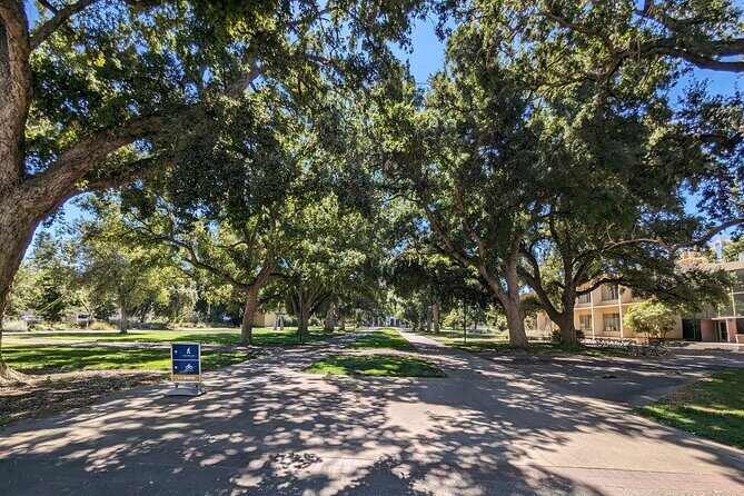 Davis Scavenger Hunt Walking Tour and Game - Key Points