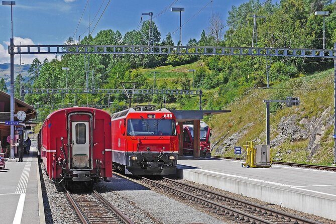 Davos - Private walking tour - Who Should Consider This Tour?