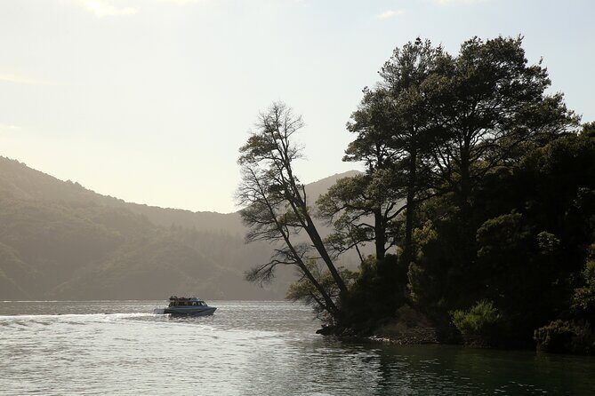 Day Cruise & Lunch at Punga Cove Resort - The Itinerary in Detail