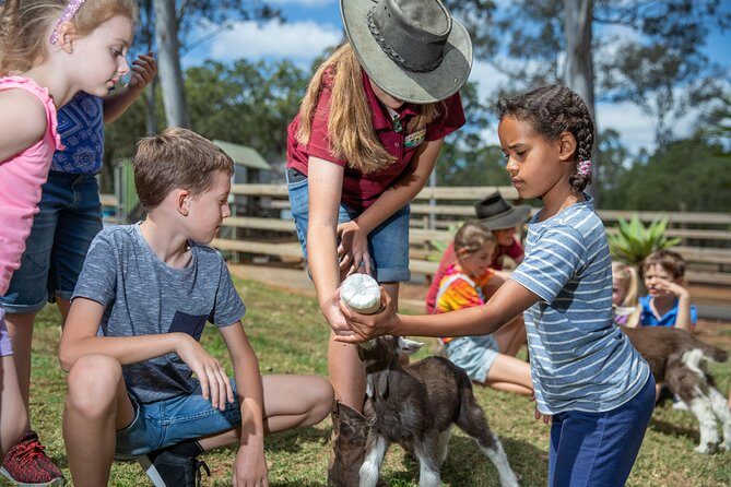 Day Entry ticket - FAQs About White Ridge Farm