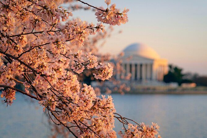 Day Escape to Nations Capital:Washington D.C. Day Trip from NYC - Who Would Enjoy This Trip?