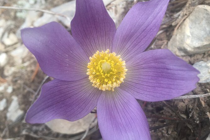 Day Hike in Kananaskis Country - Who Will Love This Tour?