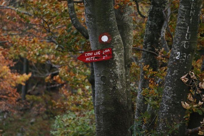 Day Hike in National Park Risnjak from Zagreb - The Value of the Experience