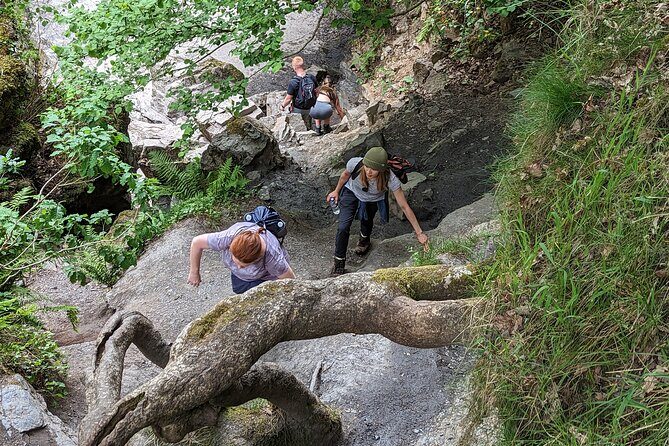 Day Hike: The Brecon Beacons Amazing Six Waterfalls - Who Is This Tour Best For?