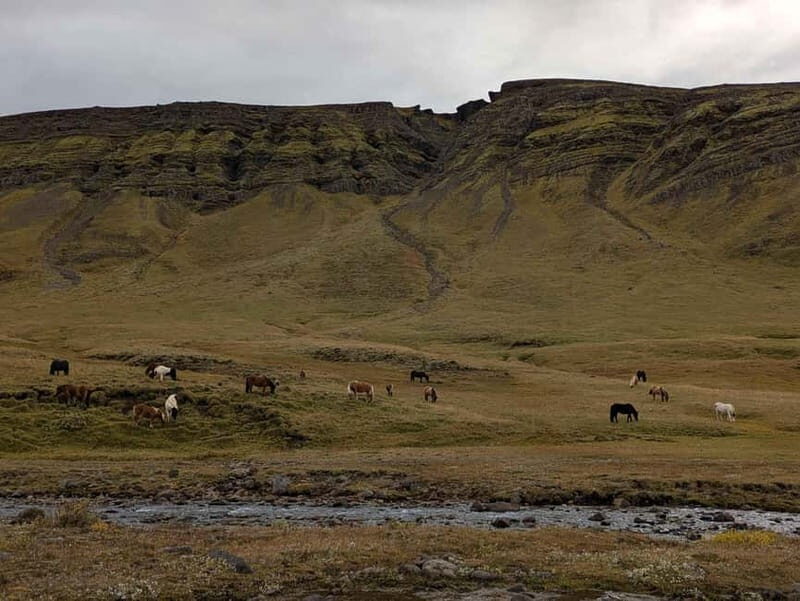 Day Hike to Grimannsfell: Waterfall & Legacy - moderate - Practical Details and Tips