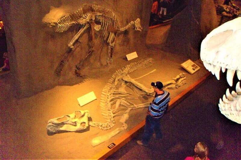 Day of Dinosaurs and Hoodoos From Calgary to the Badlands - The Verdict: Who Will Love This Tour?