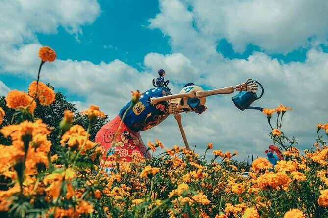 Day of the Dead Tour in Atlixco from Mexico City - Key Points: