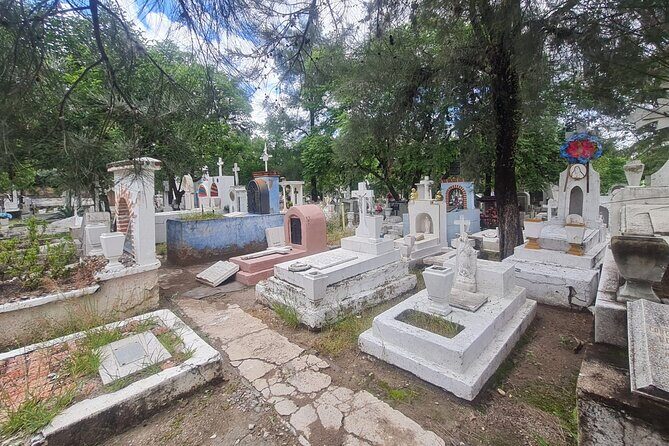 Day of the Dead Walking Tour in San Miguel de Allende - Practicalities: The Details That Matter