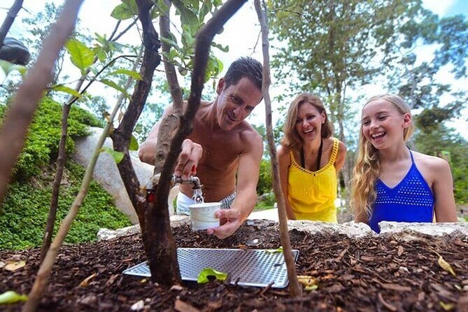 Day of wonder at Xenses! Round Transportation From Cancun - FAQ