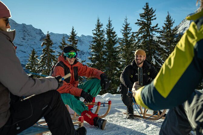 Day Sledding in Interlaken - Who Should Consider This Tour?