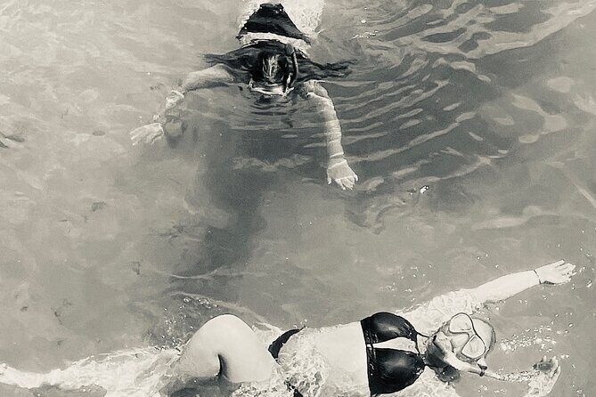 Day Snorkeling Tour in Orange Beach - Exploring the Day Snorkeling Tour in Orange Beach: An Honest Look