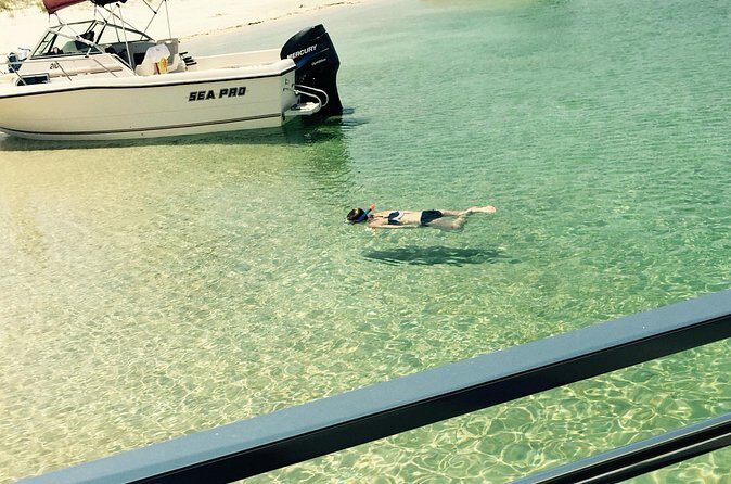 Day Snorkeling Tour in Orange Beach - FAQ