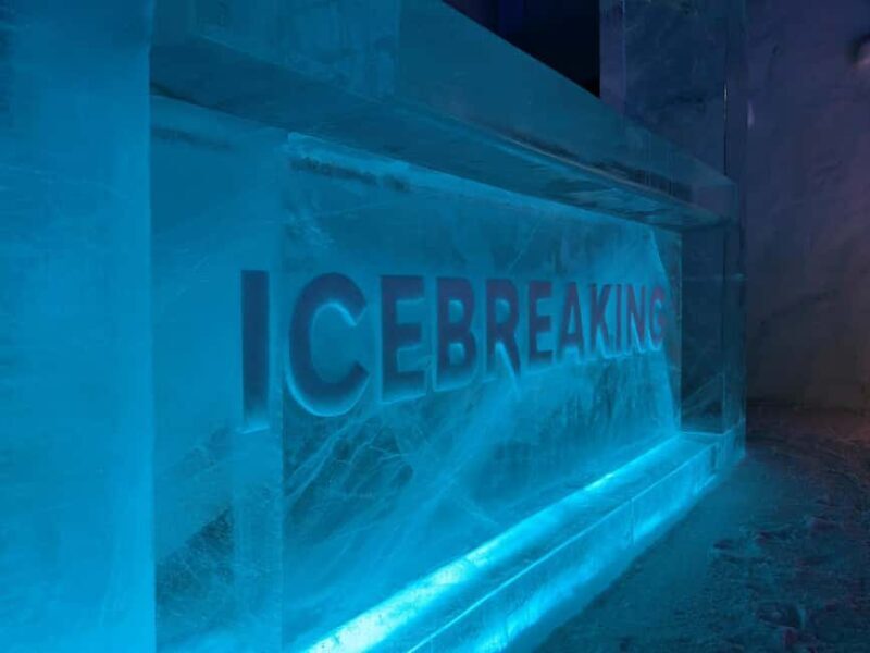 Day ticket to exhibitions in the Snow Castle area - Key Points