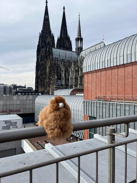 Day tour Aachen & Cologne from Brussels - Key Points