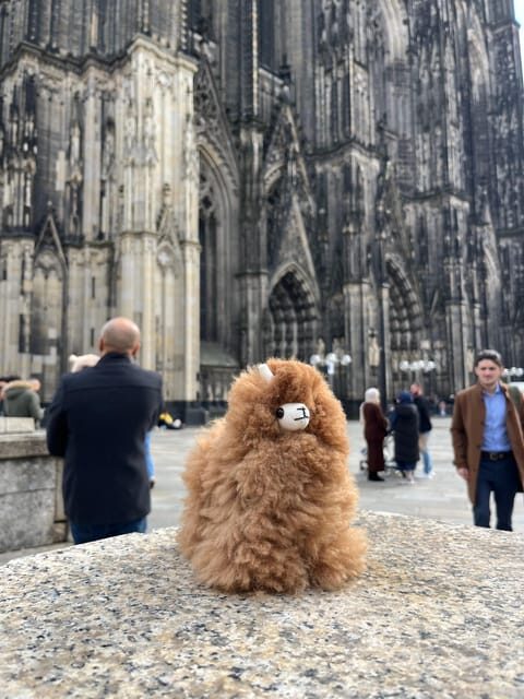 Day tour Aachen & Cologne from Brussels - What to Expect from This Aachen & Cologne Day Trip