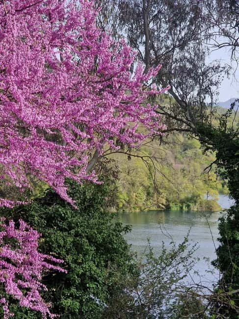 Day tour from Saranda/Ksamil:Gjirokaster +Blue Eye & Lekursi - Key Points