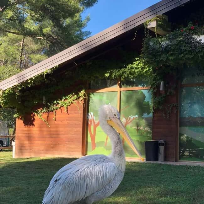 Day Tour From Tirana: Discover Berat and Divjaka - Final Thoughts