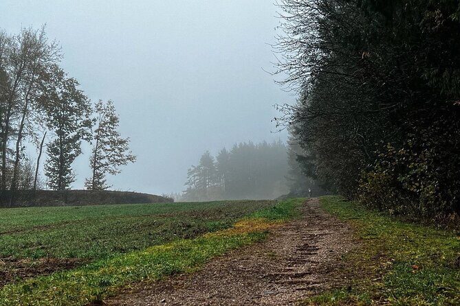 Day tour From Vilnius to Belarus border a frozen corner of Europe - Frequently Asked Questions